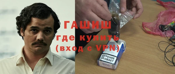 дмт Краснослободск